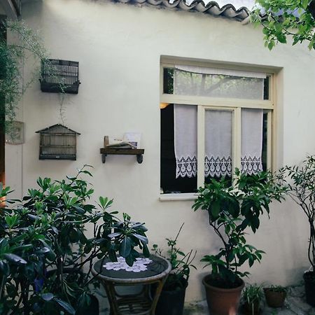 טיראנה Zig Zag Hostel מראה חיצוני תמונה